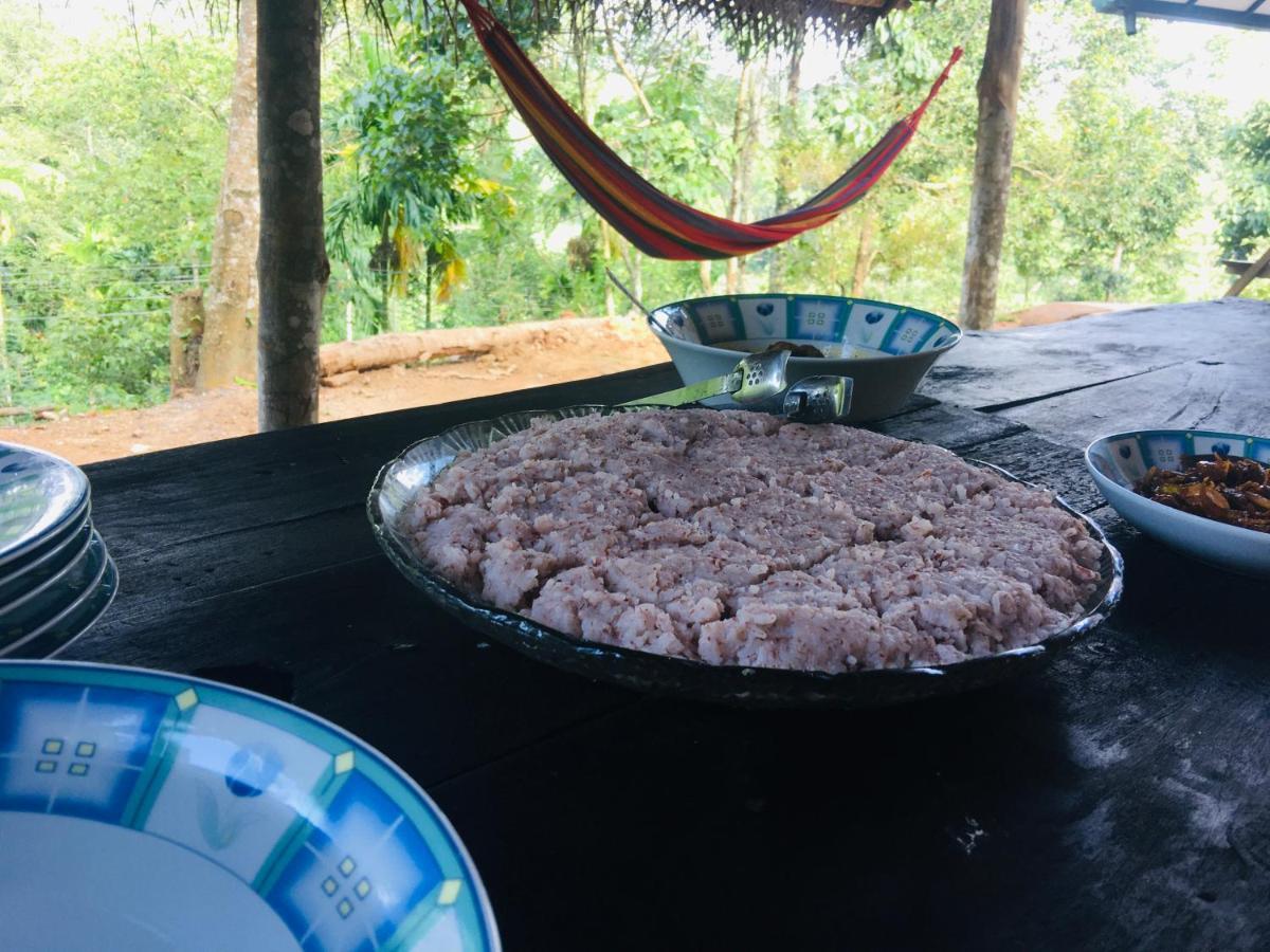 Little Wood Villa And Retreats Doluwa Канди Екстериор снимка