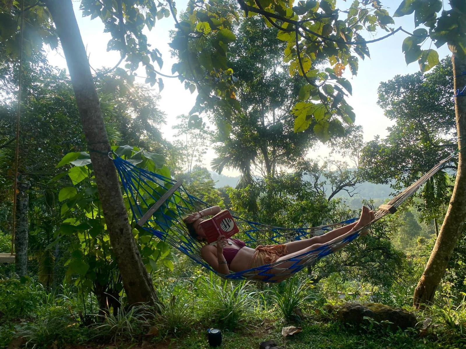 Little Wood Villa And Retreats Doluwa Канди Екстериор снимка